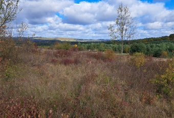 Działka na sprzedaż Klucze  831656