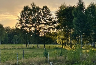 Działka na sprzedaż Leoncin  831689