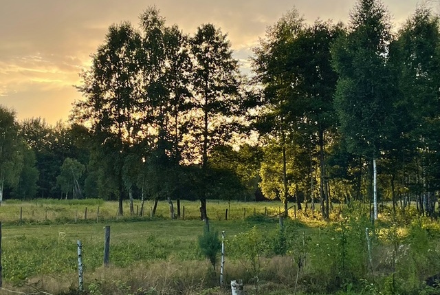 Działka na sprzedaż w Leoncin Secymin Polski  o powierzchni 3000 mkw