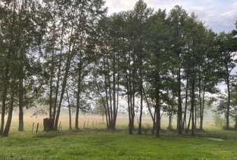 Działka Sprzedam mazowieckie Leoncin Secymin Polski-2