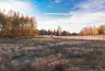 Działka na sprzedaż, Gorzkowice łódzkie - oferta 831699 Działka na sprzedaż Gorzkowice 831699