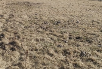 Działka na sprzedaż Rakszawa  831746