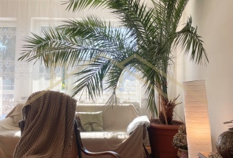 Dom na sprzedaż Zamość  831980