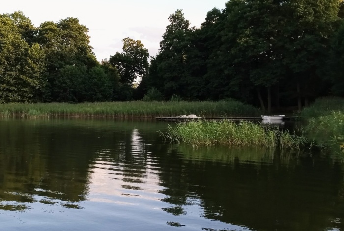 Działka na sprzedaż w Sorkwity Sorkwity  o powierzchni 3063 mkw