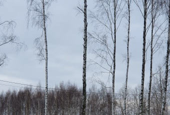 Działka na sprzedaż Osieck  832126