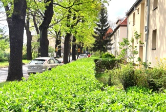 Mieszkanie Sprzedam dolnośląskie Wrocław Fabryczna-2