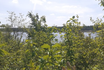 Działka Sprzedam mazowieckie Serock -1
