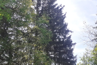Działka Sprzedam mazowieckie Serock -2