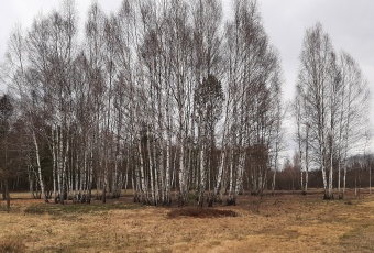 Działka na sprzedaż, Daleszyce świętokrzyskie - oferta 832465 Działka na sprzedaż Daleszyce  832465