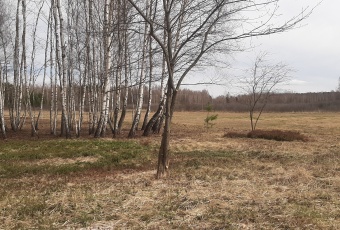 Działka Sprzedam świętokrzyskie Daleszyce -2