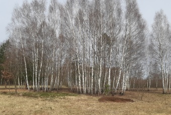 Działka Sprzedam świętokrzyskie Daleszyce -3