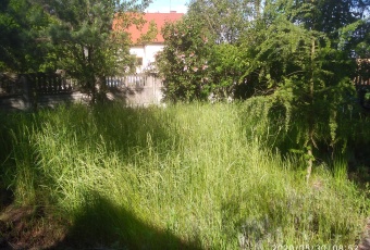 Działka Sprzedam wielkopolskie Osiek Mały Nowy Budzisław-2