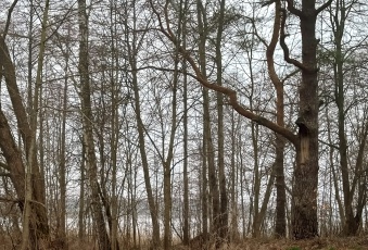 Działka Sprzedam warmińsko-mazurskie Sorkwity Stary Gieląd-1