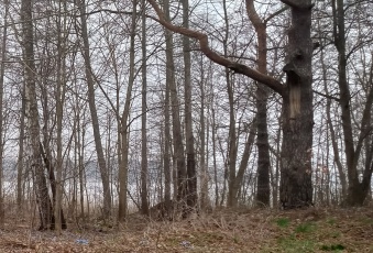 Działka Sprzedam warmińsko-mazurskie Sorkwity Stary Gieląd-3