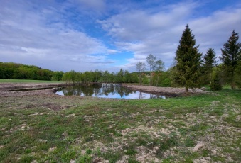 Działka Sprzedam pomorskie Skarszewy -2