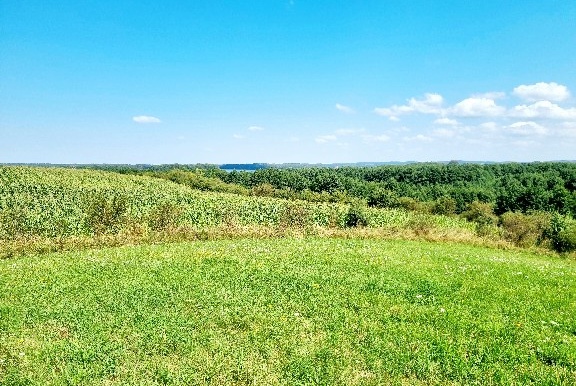 Działka na sprzedaż w Stare Juchy Łaśmiady  o powierzchni 99000 mkw