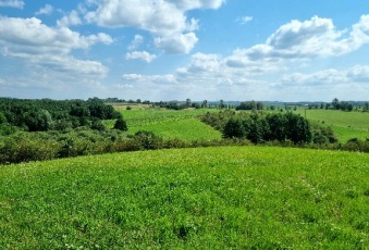 Działka Sprzedam warmińsko-mazurskie Stare Juchy Łaśmiady-1