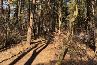 Działka Sprzedam wielkopolskie Puszczykowo Puszczykówko-3