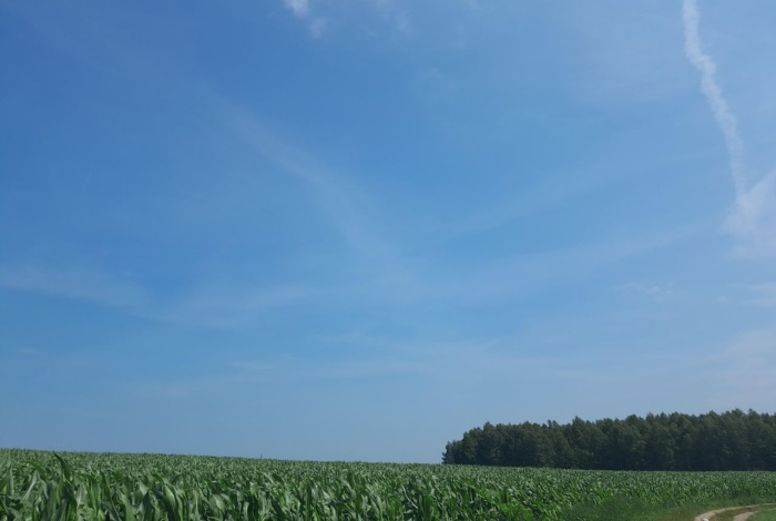 Działka na sprzedaż w Śliwice Śliwice Żytnia o powierzchni 800 mkw