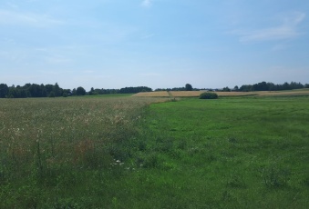 Działka Sprzedam kujawsko-pomorskie Śliwice Śliwice-3