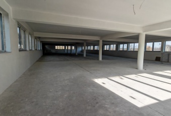 Komercja Sprzedam łódzkie Bełchatów Bełchatów-3