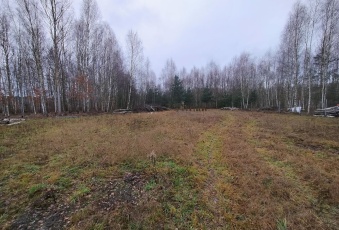Działka Sprzedam mazowieckie Dębe Wielkie Kąty Goździejewskie Drugie-2