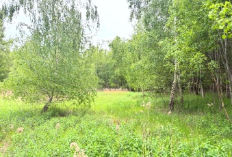 Działka Sprzedam mazowieckie Chynów Sułkowice-2
