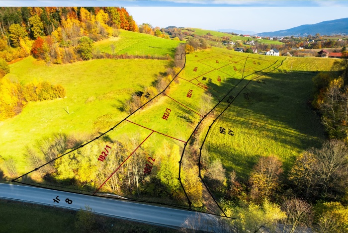 Działka na sprzedaż w Rabka-Zdrój   o powierzchni 687 mkw
