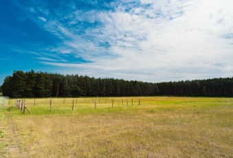 Działka Sprzedam lubuskie Czerwieńsk -2