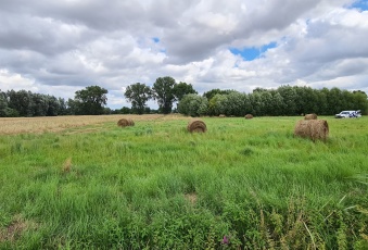 Działka Sprzedam pomorskie Ostaszewo Piaskowiec-1