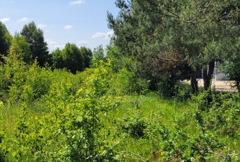 Działka Sprzedam pomorskie Wejherowo Wejherowo-2