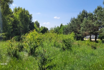 Działka Sprzedam pomorskie Wejherowo Wejherowo-3