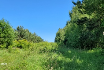 Działka Sprzedam pomorskie Wejherowo Wejherowo-1