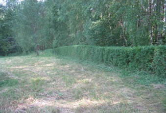 Działka Sprzedam warmińsko-mazurskie Węgorzewo -1