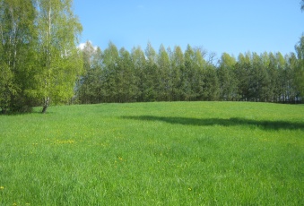 Działka Sprzedam warmińsko-mazurskie Węgorzewo -2