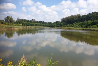 Działka Sprzedam śląskie Zbrosławice Ptakowice-1