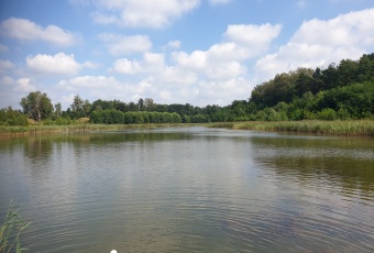 Działka Sprzedam śląskie Zbrosławice Ptakowice-2