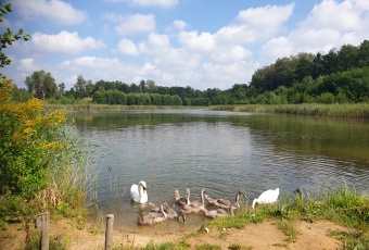 Działka na sprzedaż Zbrosławice  832977