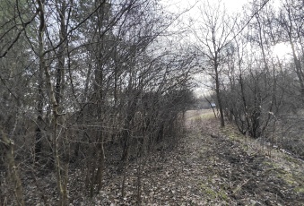 Działka Sprzedam małopolskie Olesno Wielopole-1