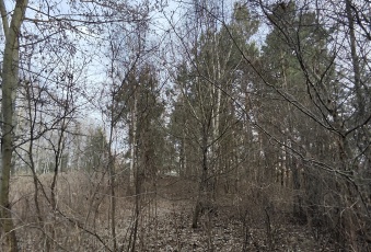 Działka Sprzedam małopolskie Olesno Wielopole-2