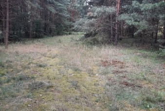 Działka Sprzedam śląskie Poraj Żarki-Letnisko-2