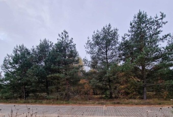 Działka Sprzedam pomorskie Stara Kiszewa Olpuch-2