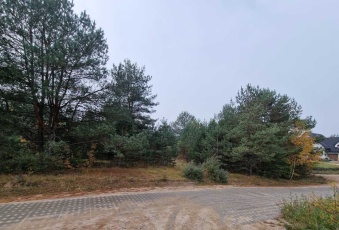 Działka Sprzedam pomorskie Stara Kiszewa Olpuch-3