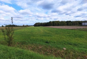 Działka Sprzedam mazowieckie Pokrzywnica Murowanka-2