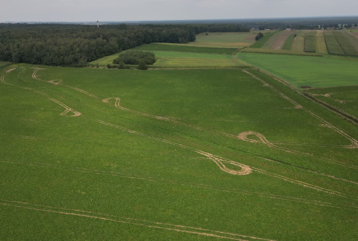 Działka na sprzedaż w Zbrosławice Zbrosławice Ogrodowa o powierzchni 3000 mkw