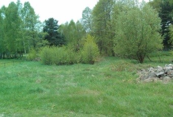 Działka Sprzedam łódzkie Rozprza Stefanówka-1