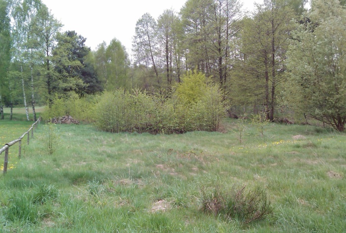 Działka na sprzedaż w Rozprza Stefanówka  o powierzchni 3768 mkw
