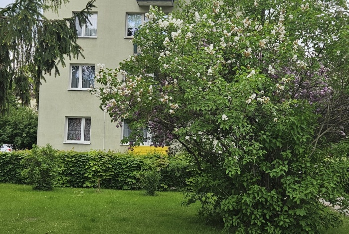 Mieszkanie na sprzedaż w Zamość Przedmieście Lubelskie Wojska Polskiego 2B o powierzchni 66 mkw