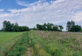 Działka Sprzedam podlaskie Giby Białogóry-3