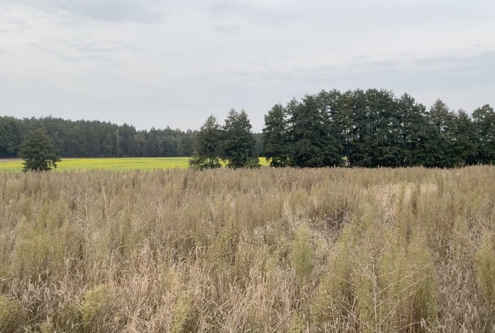 Działka na sprzedaż w Mosina  Bławatkowa o powierzchni 3008 mkw